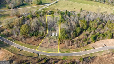 Lake Lot For Sale in Murrayville, Georgia