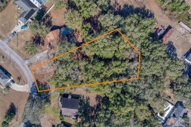 Little Lake Weir Lot For Sale in Summerfield Florida