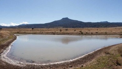 (private lake, pond, creek) Acreage For Sale in Abiquiu New Mexico