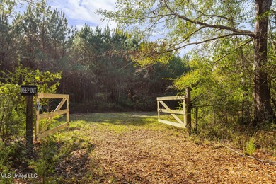 (private lake, pond, creek) Acreage For Sale in Pinola Mississippi