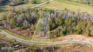 Lake Lot For Sale in Murrayville, Georgia