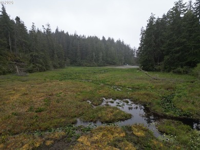 Rare brand new home South of town just steps away from Woahink - photo 44