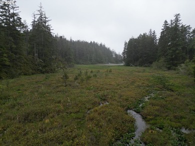 Rare brand new home South of town just steps away from Woahink - photo 45