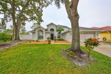 Lake Home For Sale in Tampa, Florida