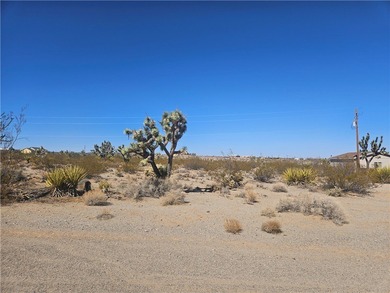 Lake Mead Lot For Sale in Meadview Arizona