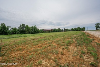 These Mark Twain Lake acreage lots are located along the - photo 11