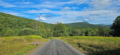 Lake Acreage For Sale in Andes, New York
