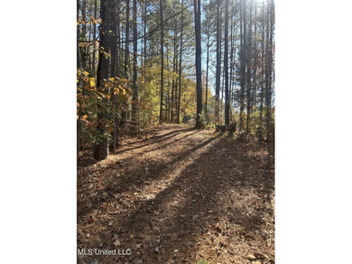Build your dream home on this 2+/- acre residential lot located - photo 7
