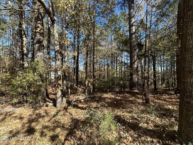 Build your dream home on this 2+/- acre residential lot located - photo 8