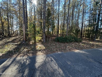 Build your dream home on this 2+/- acre residential lot located - photo 10