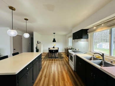 Welcome to 315 Pam Drive, Berrien Springs, MI! This fully - photo 5
