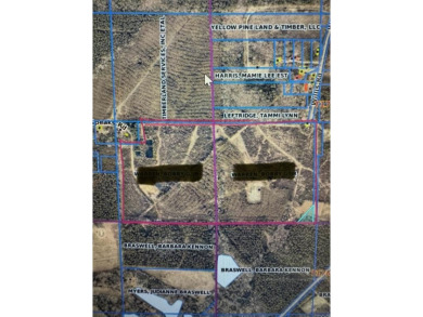 Lake Bistineau Acreage For Sale in Sibley Louisiana