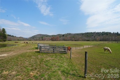 Discover an exceptional opportunity to own 405 acres of pristine - photo 11
