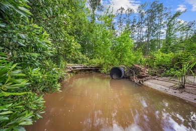 4.376 acres of prime land located at the high-visibility - photo 12