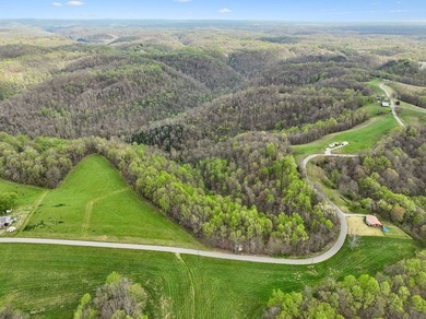 Prime 5.18 acre tract with lots of road frontage on Clemons - photo 14