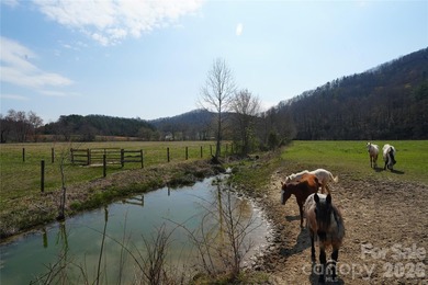 Discover an exceptional opportunity to own 405 acres of pristine - photo 27