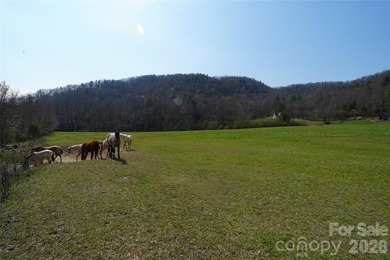 Discover an exceptional opportunity to own 405 acres of pristine - photo 28