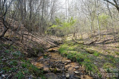 Discover an exceptional opportunity to own 405 acres of pristine - photo 34