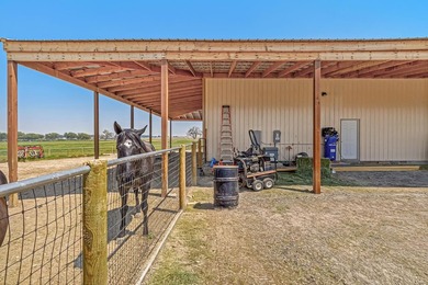 Welcome to Mountain View Ranch, a rare 50-acre Western Colorado - photo 35