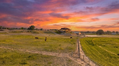 Welcome to Mountain View Ranch, a rare 50-acre Western Colorado - photo 42