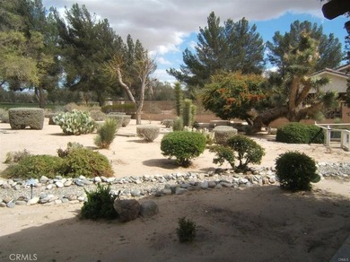 15201 Pocahantas - photo 2