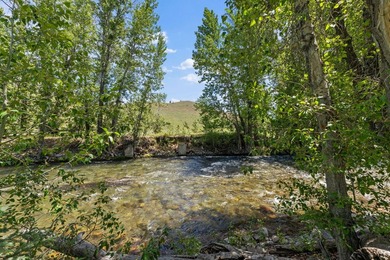 Private Bigwood River retreat just minutes North of Ketchum - photo 2