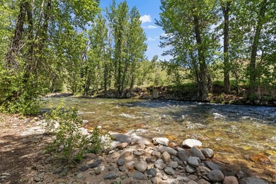 Private Bigwood River retreat just minutes North of Ketchum - photo 7