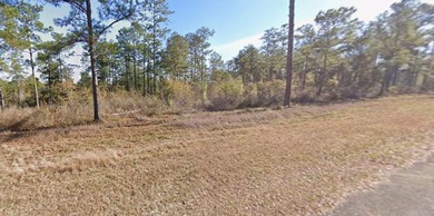 This 1-acre vacant lot (Parcel 0016A-031-000) is located at 0 - photo 1