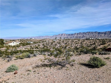 Lake Mead Lot For Sale in Meadview Arizona