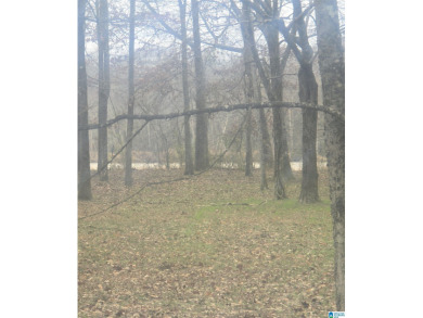 Lake Lot For Sale in Akron, Alabama