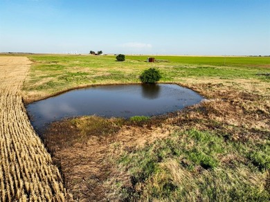 (private lake, pond, creek) Acreage For Sale in Knox City Texas