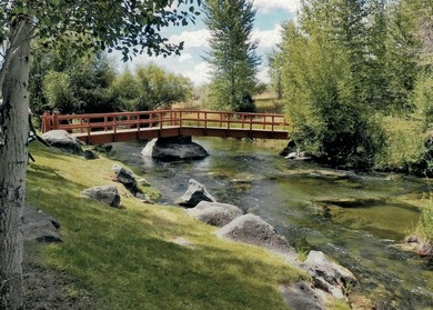 (private lake, pond, creek) Home For Sale in Picabo Idaho