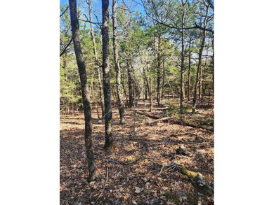 Additional listing photo 1