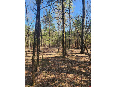 Additional listing photo 2