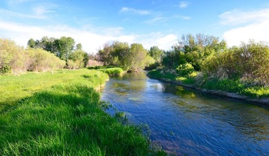 North Renegade Ranch features 464+/- deeded acres and over a - photo 2