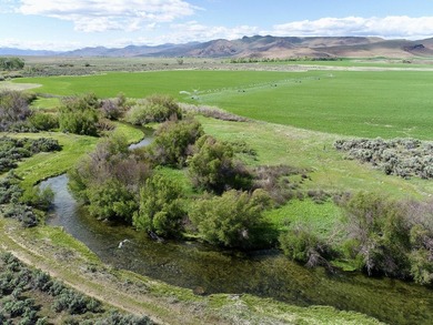 The Renegade Ranch is among the premier sporting ranches in the - photo 2