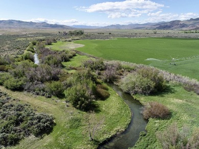The Renegade Ranch is among the premier sporting ranches in the - photo 3