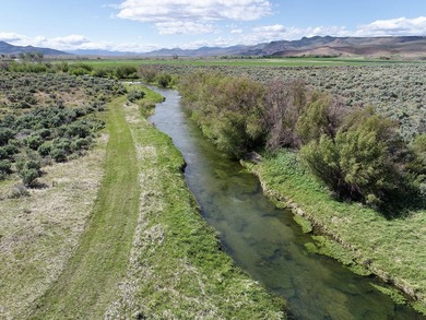 The Renegade Ranch is among the premier sporting ranches in the - photo 4