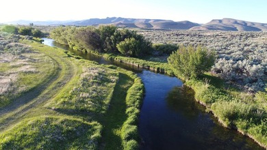 The Renegade Ranch is among the premier sporting ranches in the - photo 5