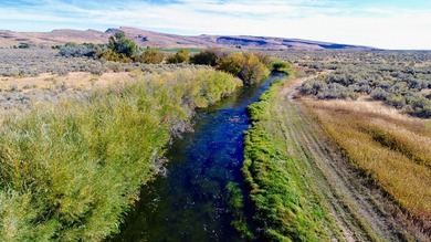 The Renegade Ranch is among the premier sporting ranches in the - photo 6