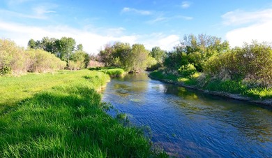 The Renegade Ranch is among the premier sporting ranches in the - photo 8
