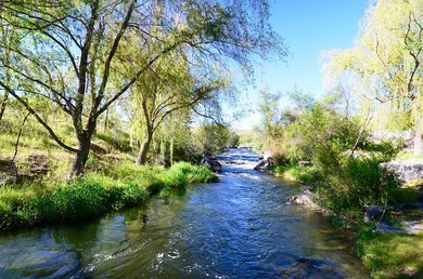 The Renegade Ranch is among the premier sporting ranches in the - photo 9