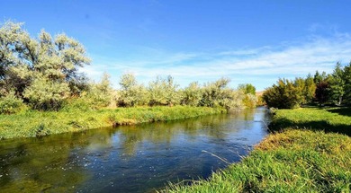 The Renegade Ranch is among the premier sporting ranches in the - photo 10