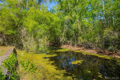 Back on market due to Buyers funds tied up!!! Discover a truly - photo 46