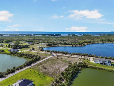 (private lake, pond, creek) Lot For Sale in Ruskin Florida