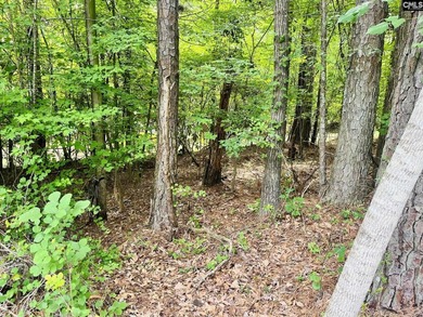 Additional listing photo 3