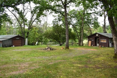Little Lake Number One Home For Sale in Baldwin Michigan