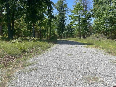 Heavily wooded 9 acres m/l, perked for a 3 bedroom home, septic - photo 1