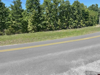 Heavily wooded 9 acres m/l, perked for a 3 bedroom home, septic - photo 2