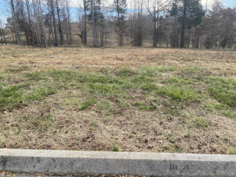 Lake Lot SOLD! in Harriman, Tennessee